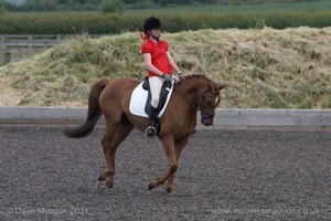 ISIS Dressage Challenge 2008